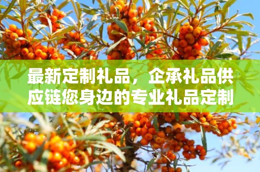 最新定制礼品，企承礼品供应链您身边的专业礼品定制公司